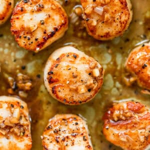 The best Pan Seared Scallops recipe with a golden crust and an easy garlic butter sauce spooned on top.