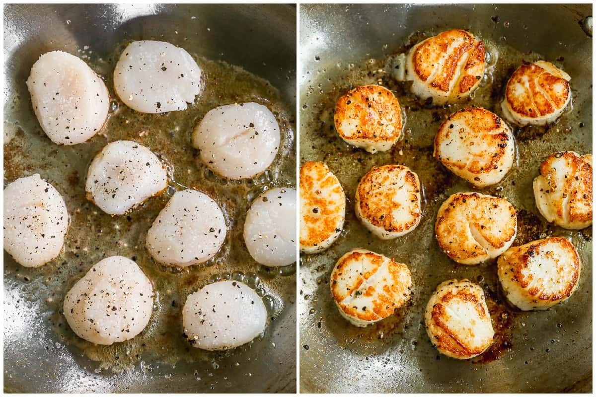 Two images showing how to cook scallops by placing them in a pan with hot butter and oil then flipping them once when they are golden brown. 