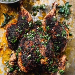 A whole Spatchcock Chicken on a piece of parchment paper fresh out of the oven, covered in a dry rub and chimichurri sauce.