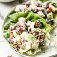 A classic Waldorf Salad recipe wrapped in Bib lettuce and served on a plate, ready to enjoy.