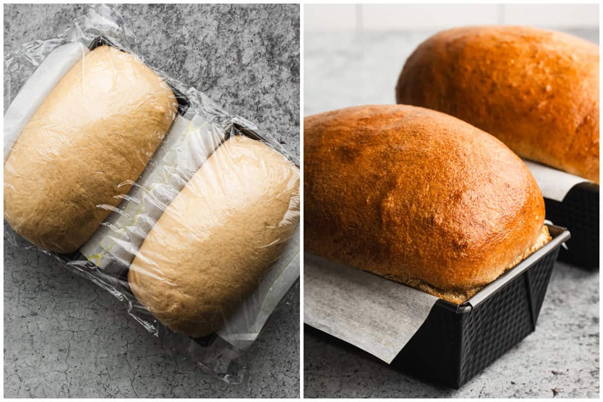 Two images showing a whole grain bread recipe after the loaves have risen with plastic wrap on top then after they are out of the oven, golden brown. 