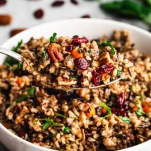 A bowl of a cranberry wild rice pilaf recipe with a spoon lifting up a bite.